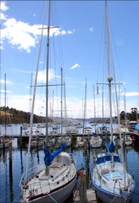 Airlie Beach Holiday