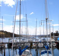 Oyster Cove Inn - Airlie Beach Holiday