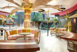 Cloudland - Airlie Beach Holiday 1