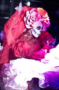 Bar Underground - The Oxford Hotel - Airlie Beach Holiday 1