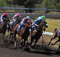 Alice Springs Turf Club - Airlie Beach Holiday
