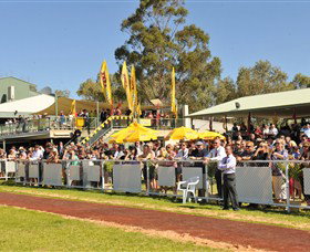 Alice Springs Turf Club - Airlie Beach Holiday 5