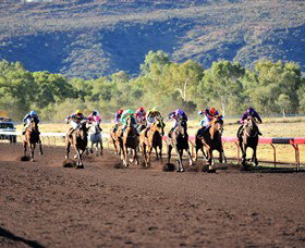 Alice Springs Turf Club - Airlie Beach Holiday 6