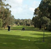 Mount Gambier Golf Club - Airlie Beach Holiday