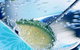 Raw Bar - thumb 1