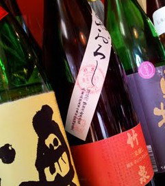 Izakaya Fujiyama - Airlie Beach Holiday 2