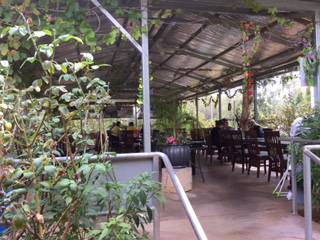 Alice Vietnamese Restaurant - Airlie Beach Holiday 4