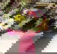 Fiori With Love - Airlie Beach Holiday