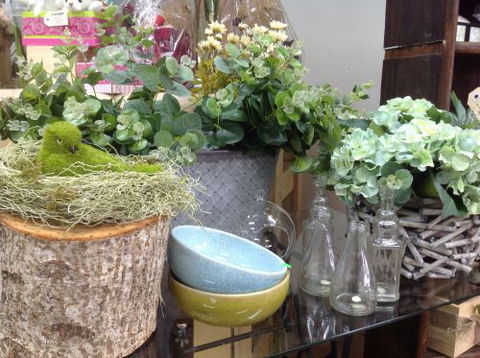 Fiori With Love - Airlie Beach Holiday 2