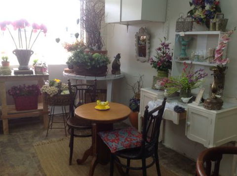 Fiori With Love - Airlie Beach Holiday 3