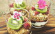 Kungkas Can Cook–Products - thumb 1