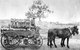 A Tale Of Two Villages - An Exhibition - thumb 1