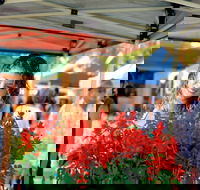 Ballina Missingham Farmers Market - Airlie Beach Holiday