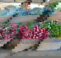 Berry Farmers' Market - Airlie Beach Holiday