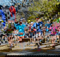 Duval Dam Buster Trail Run - Airlie Beach Holiday