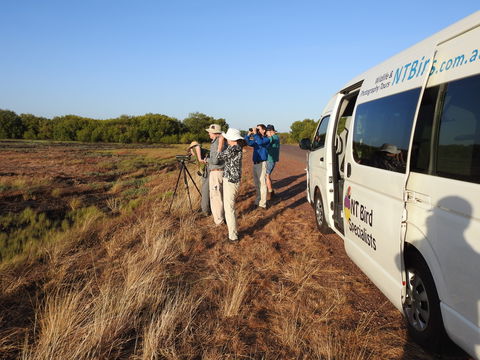 Kakadu Bird Week Tours & Cruises - Airlie Beach Holiday 1