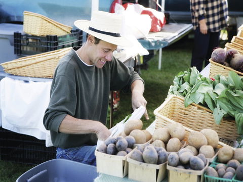 Kiewa Street Market - Airlie Beach Holiday 0