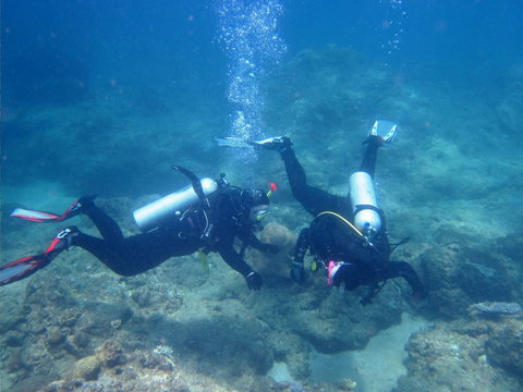 Recovery Of The Great Barrier Reef Expedition - Airlie Beach Holiday 1