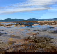Walk to the Reef - Airlie Beach Holiday