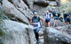 Wonderland Run - thumb 1