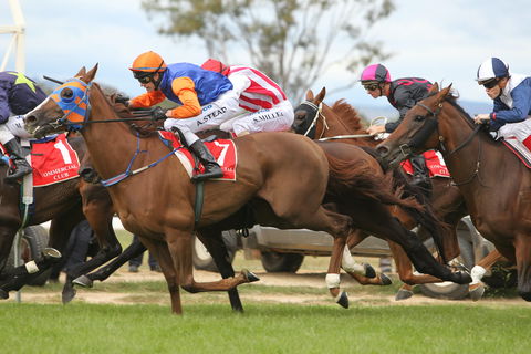 Albury Racing Club January Race Day - Airlie Beach Holiday 1