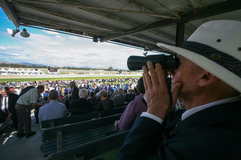 Albury Racing Club January Race Day - Airlie Beach Holiday 2
