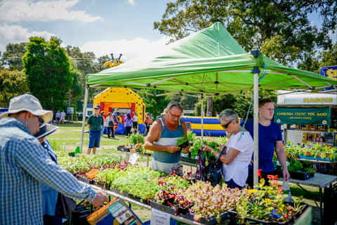 Huskisson Market - Airlie Beach Holiday 0