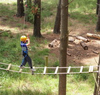July 2020 Holidays- Go Wild at the Mt Lofty Adventure Hub - Airlie Beach Holiday