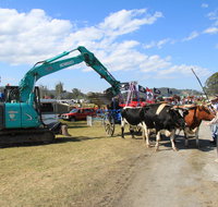 SteamFest 2021 - Airlie Beach Holiday