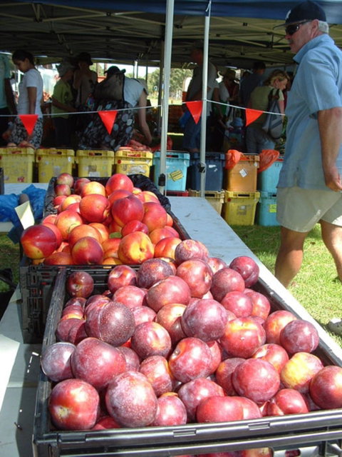 The Farmers Market On Manning - Airlie Beach Holiday 0