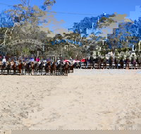 Australian Campdraft Association National Finals Campdraft 2021 - Airlie Beach Holiday