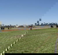 Balranald Races -Derby Day