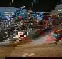 Black Opal Bull and Bronc Ride