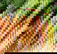 Joondalup Growers Market - Airlie Beach Holiday