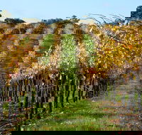 Miners Ridge Wine Tasting - Airlie Beach Holiday