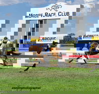 Moree Race Club TAB Race Day - Airlie Beach Holiday