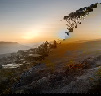 Photowalk with Jon Harris Photography - Nature Photography - Airlie Beach Holiday