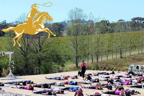 Yoga In The Vines - Airlie Beach Holiday 0