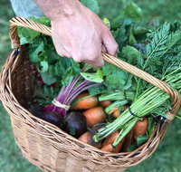 Orange Farmers Market - Airlie Beach Holiday