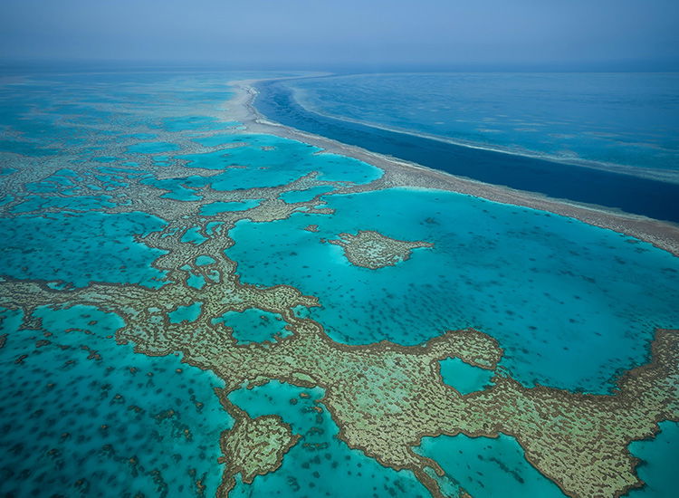 Experience the Great Barrier Reef