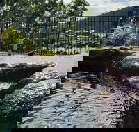 Colonial Palms Motor Inn - Airlie Beach Holiday