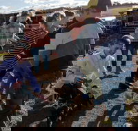 Hunter Valley Resort - Airlie Beach Holiday