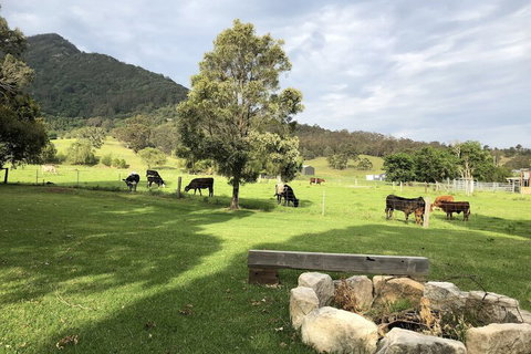 ARCADIA - The Barn Cottage & Rosehill Cottage - Airlie Beach Holiday 3
