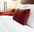 Camp Eden Health Retreat - Airlie Beach Holiday