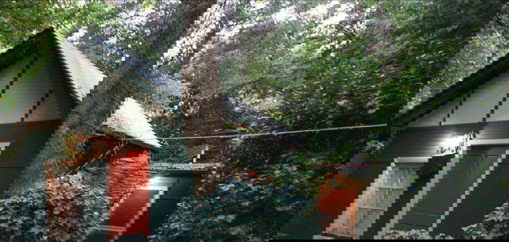 Dandenong Ranges VIC Airlie Beach Holiday
