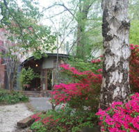 Rocky Creek Art Garden BB - Airlie Beach Holiday