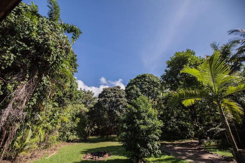 Cape Tribulation Holiday House - Airlie Beach Holiday 2