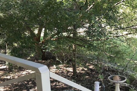 Padthaway Caravan Park - Airlie Beach Holiday 4
