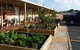 Ringtails Motel - thumb 5