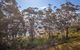 Kamilaroi 6 / 58 60 Magnus Street - thumb 2